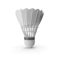 Natural feather badminton shuttlecock with cork base displayed upright on a white background