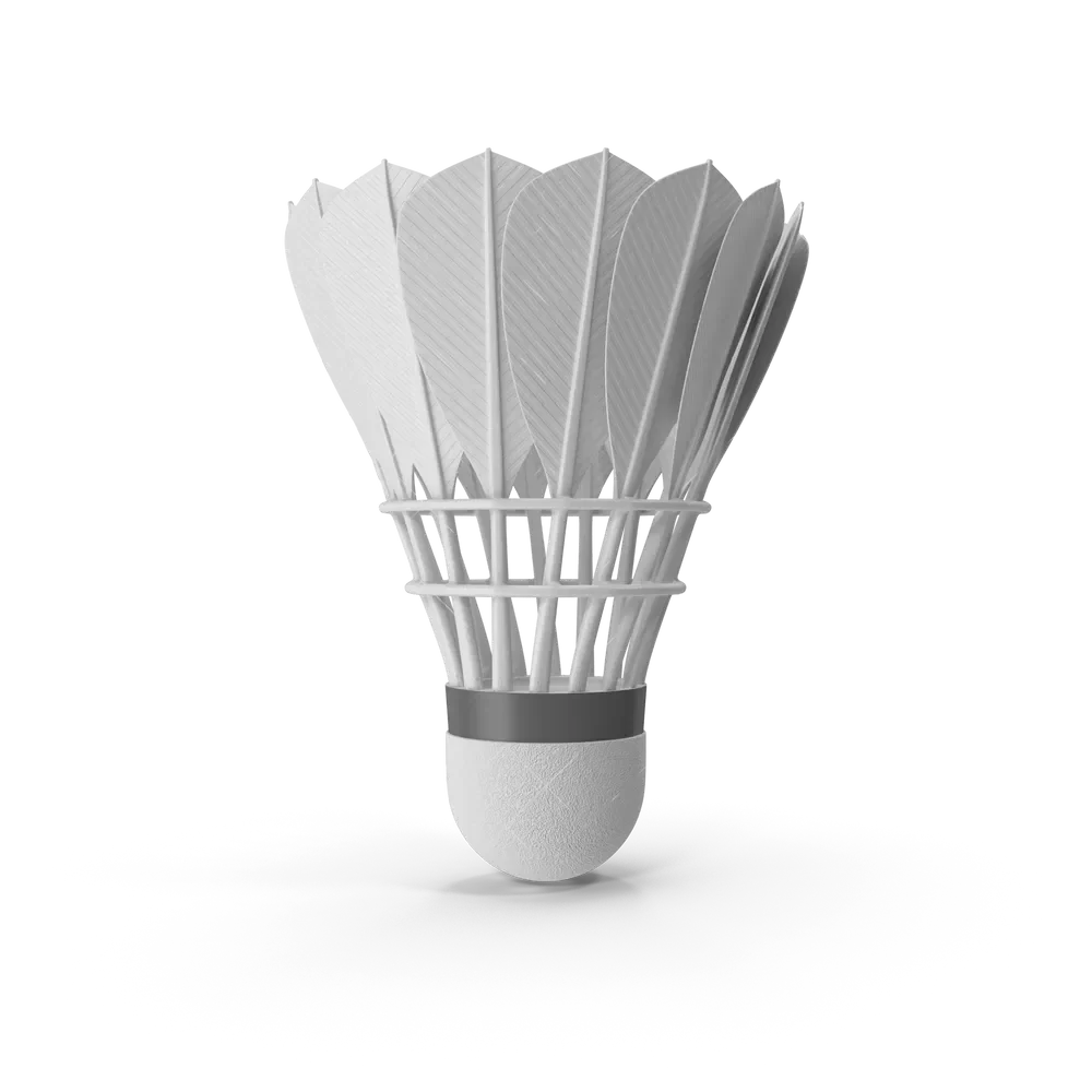 Natural feather badminton shuttlecock with cork base displayed upright on a white background