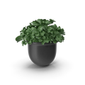 Modern plant pot with a small green potted plant on a bright indoor windowsill