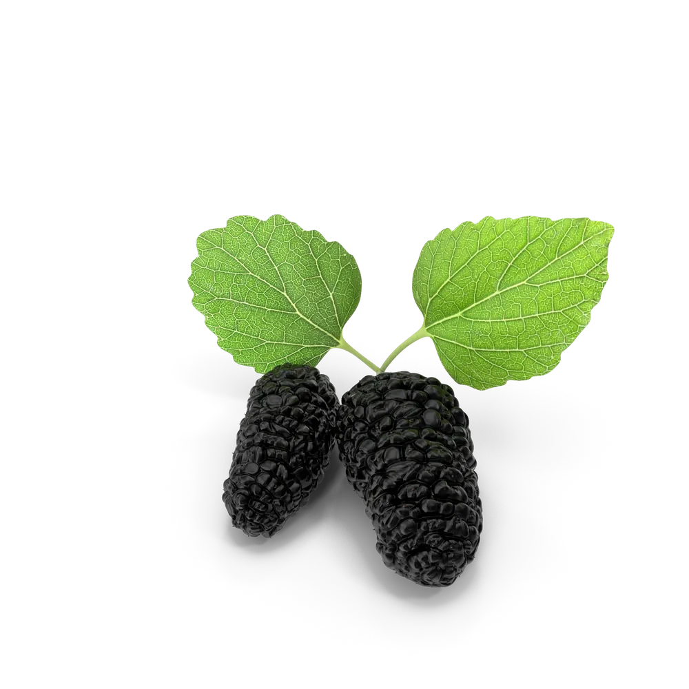 Fresh sweet and juicy mulberries piled in a small white bowl on a wooden surface