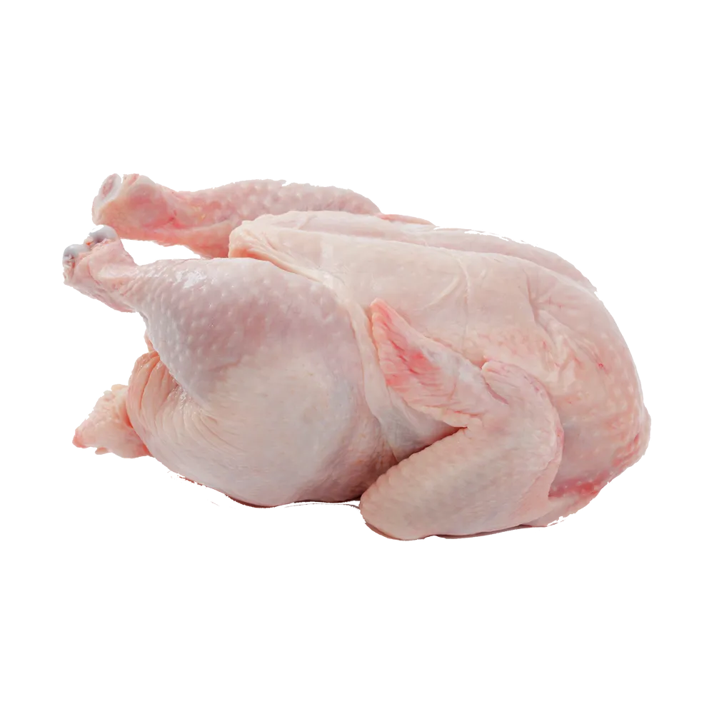 Fresh raw chicken meat cuts displayed on a clean white surface ready for cooking