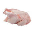 Fresh raw chicken meat cuts displayed on a clean white surface ready for cooking
