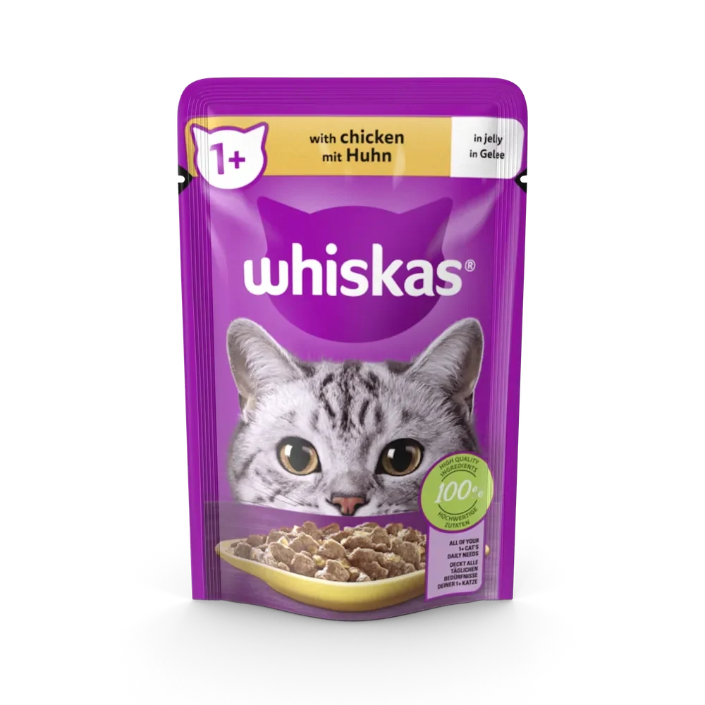 Bowl of nutritious cat food formulated to meet the dietary needs of healthy adult cats