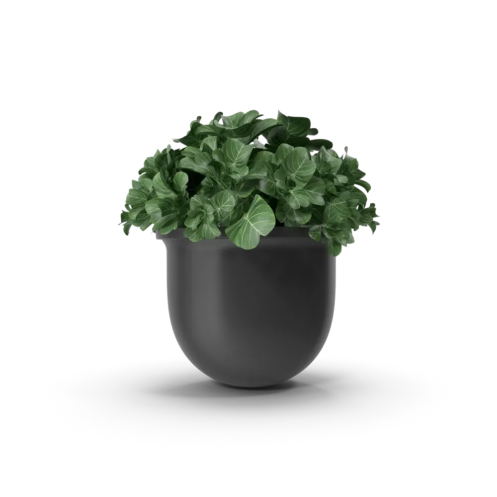 Sleek white plant pot displayed on an outdoor patio surrounded by greenery